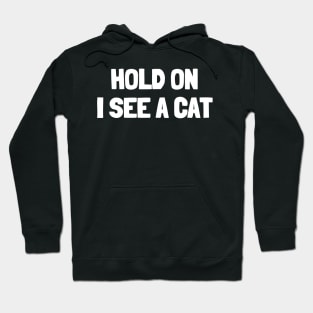 Hold on i see a cat Hoodie
